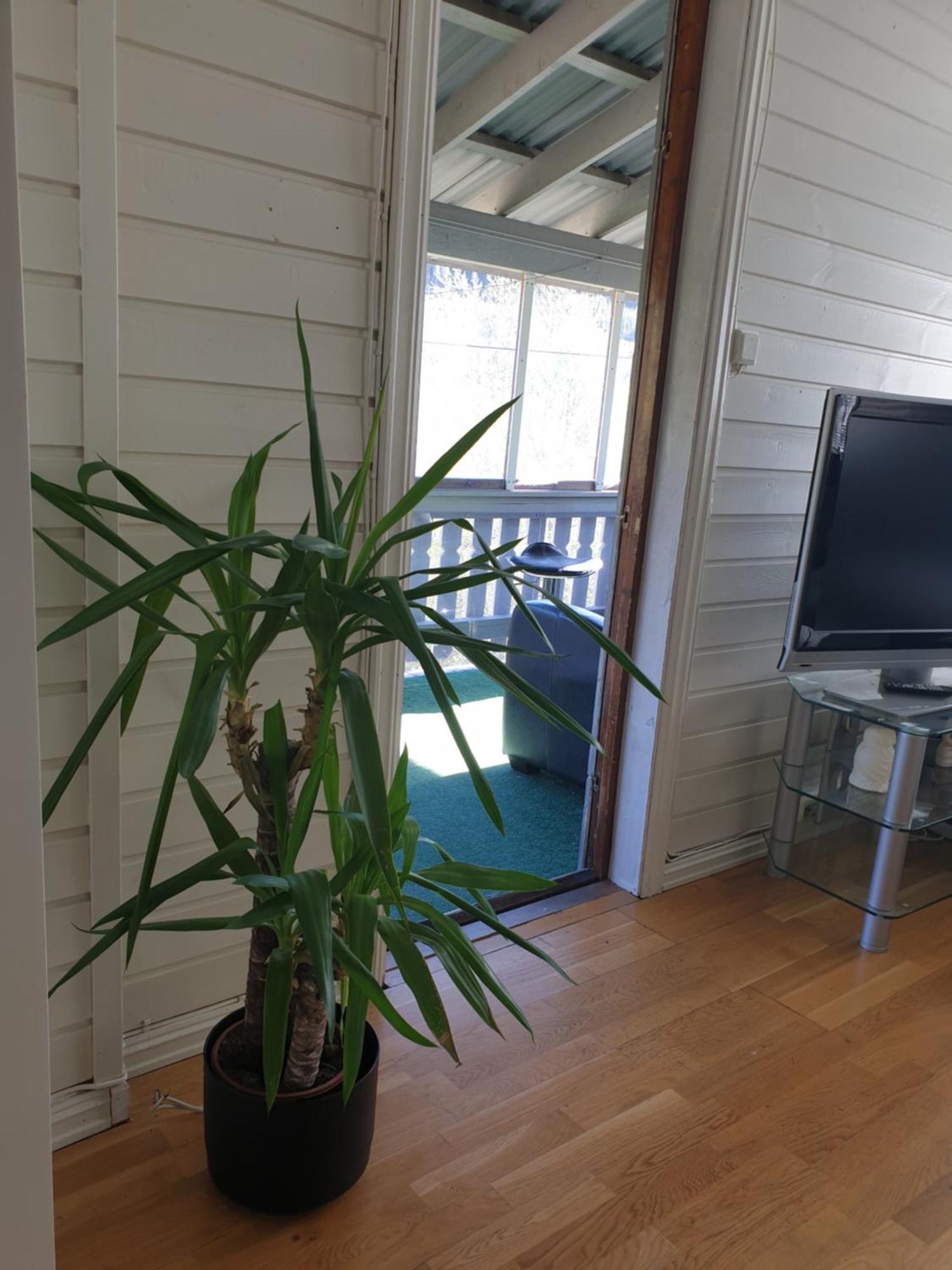Holiday Home Gol Zewnętrze zdjęcie